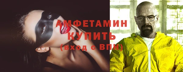 стаф Алзамай