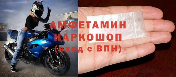 стаф Алзамай