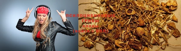 мяу мяу кристалл Алексин