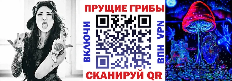 где можно купить   omg tor  Псилоцибиновые грибы мухоморы  Борзя 
